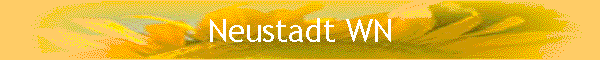 Neustadt WN