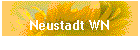 Neustadt WN