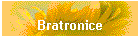 Bratronice